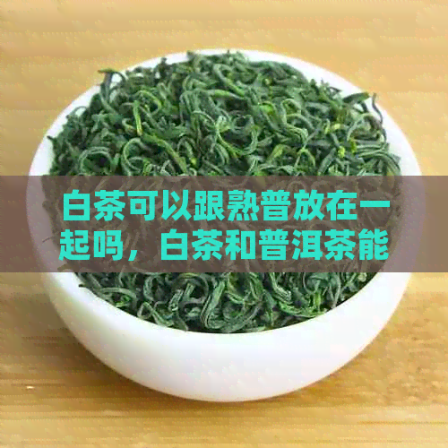 白茶可以跟熟普放在一起吗，白茶和普洱茶能一起存放和存吗？