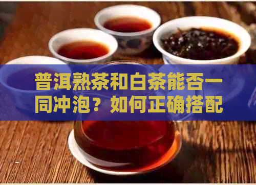 普洱熟茶和白茶能否一同冲泡？如何正确搭配泡制？