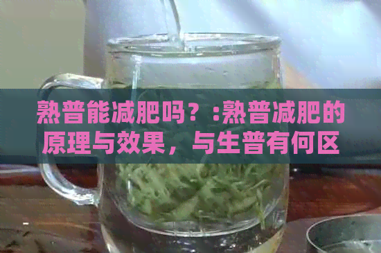 熟普能减肥吗？:熟普减肥的原理与效果，与生普有何区别？