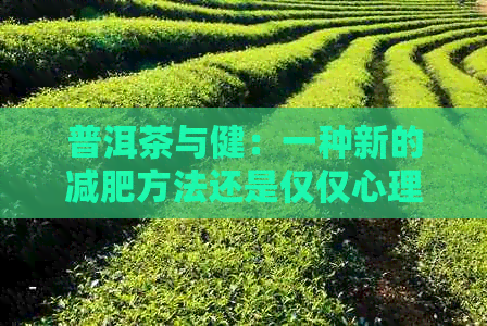 普洱茶与健：一种新的减肥方法还是仅仅心理作用？