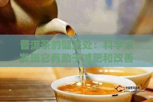 普洱茶的健益处：科学家发现它有助于减肥和改善消化系统