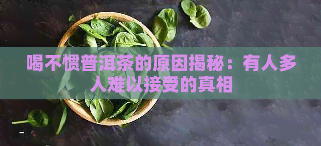 喝不惯普洱茶的原因揭秘：有人多人难以接受的真相