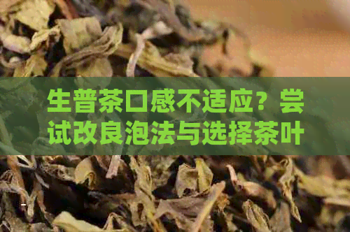 生普茶口感不适应？尝试改良泡法与选择茶叶品种以改善饮茶体验