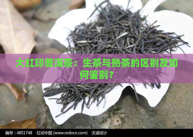 大红印普洱茶：生茶与熟茶的区别及如何鉴别？