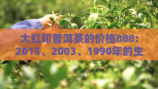 大红印普洱茶的价格888:2015、2003、1990年的生熟茶价格