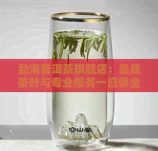 勐海普洱茶旗舰店：品质茶叶与专业服务一应俱全，探索普洱茶的魅力与选择