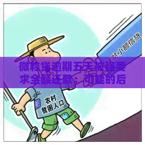 微粒贷逾期五天被强要求全额还款：可能的后果与解决策略