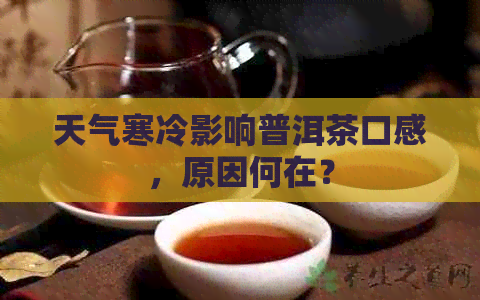 天气寒冷影响普洱茶口感，原因何在？