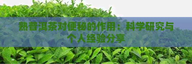 熟普洱茶对便秘的作用：科学研究与个人经验分享