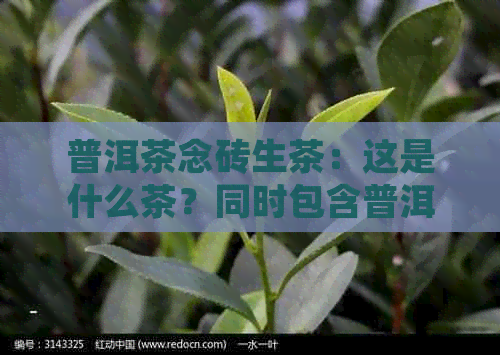 普洱茶念砖生茶：这是什么茶？同时包含普洱茶念饼的相关信息。