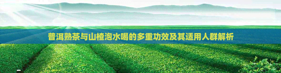 普洱熟茶与山楂泡水喝的多重功效及其适用人群解析