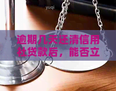 逾期几天还清信用社贷款后，能否立即再次贷款？