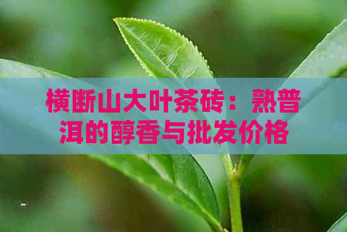 横断山大叶茶砖：熟普洱的醇香与批发价格