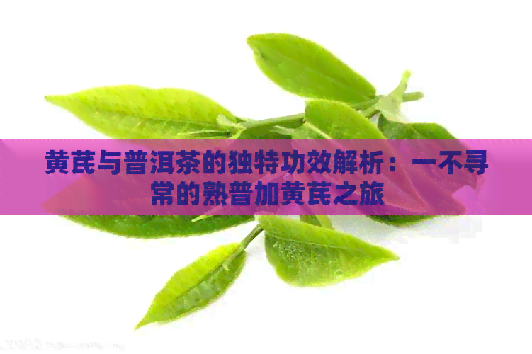 黄芪与普洱茶的独特功效解析：一不寻常的熟普加黄芪之旅