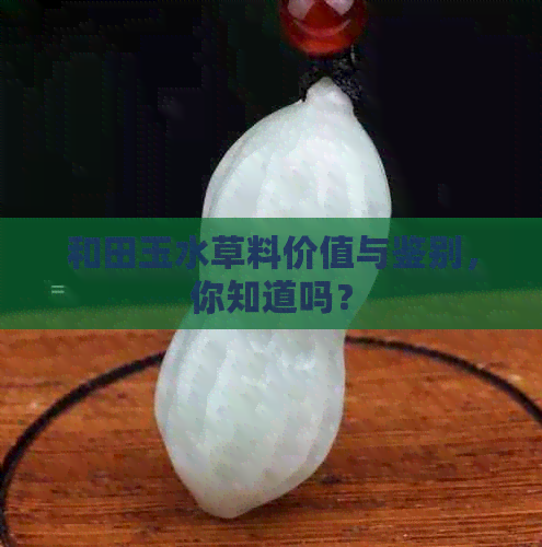 和田玉水草料价值与鉴别，你知道吗？