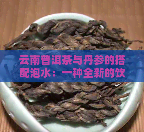 云南普洱茶与丹参的搭配泡水：一种全新的饮用体验