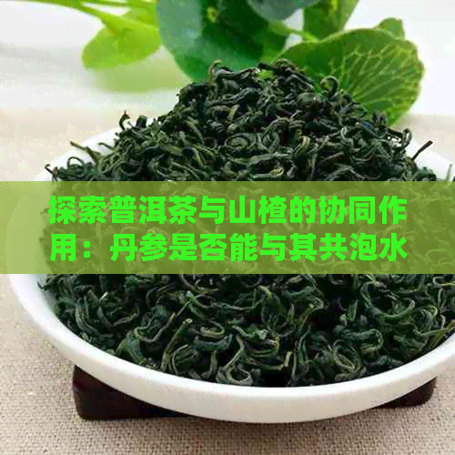 探索普洱茶与山楂的协同作用：丹参是否能与其共泡水？