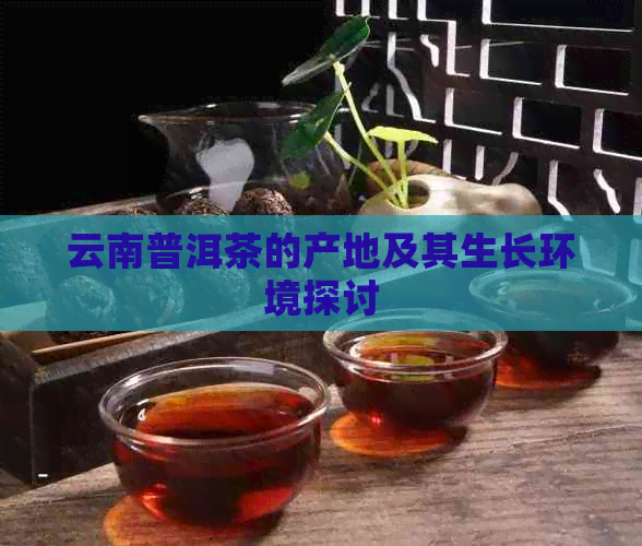 云南普洱茶的产地及其生长环境探讨