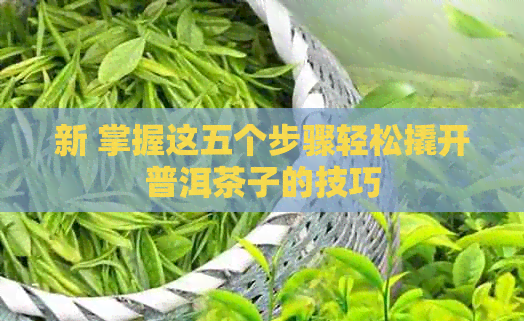 新 掌握这五个步骤轻松撬开普洱茶子的技巧