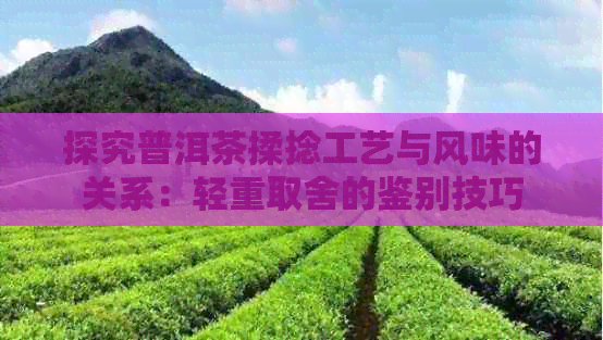 探究普洱茶揉捻工艺与风味的关系：轻重取舍的鉴别技巧