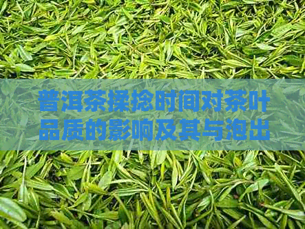 普洱茶揉捻时间对茶叶品质的影响及其与泡出好茶的关系