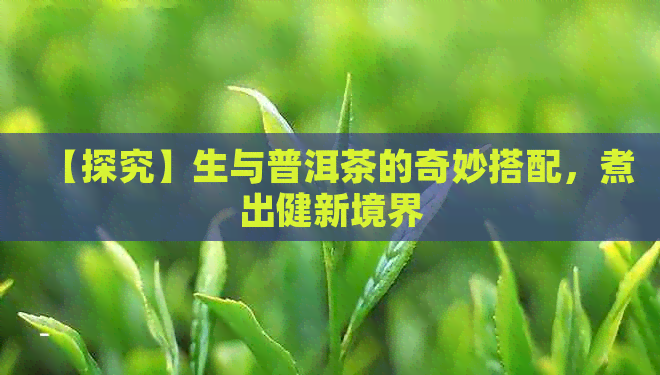 【探究】生与普洱茶的奇妙搭配，煮出健新境界