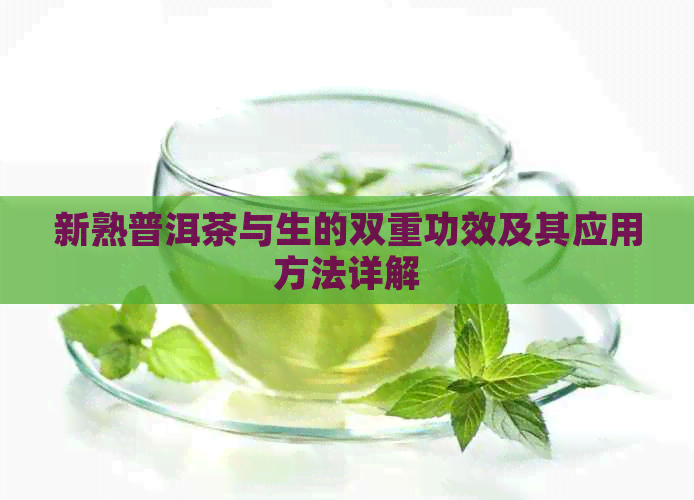 新熟普洱茶与生的双重功效及其应用方法详解