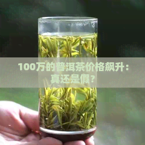 100万的普洱茶价格飙升：真还是假？