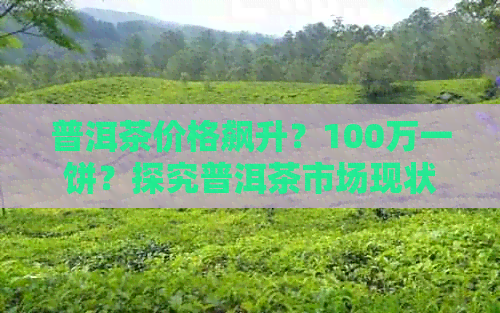 普洱茶价格飙升？100万一饼？探究普洱茶市场现状与未来趋势