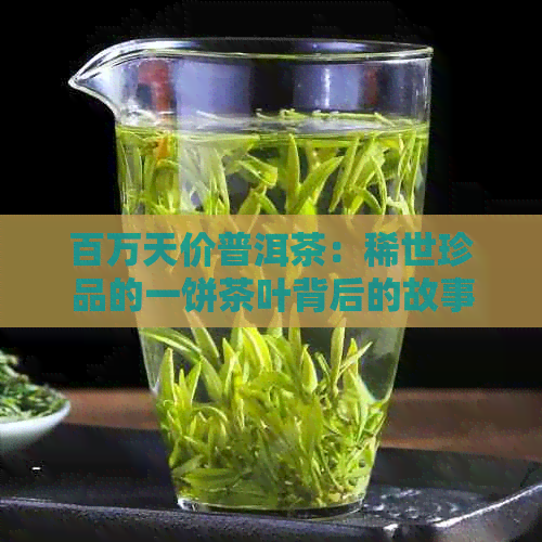 百万天价普洱茶：稀世珍品的一饼茶叶背后的故事