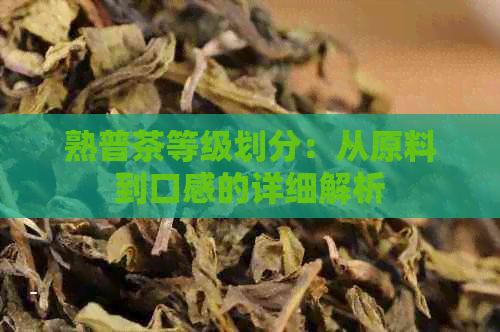 熟普茶等级划分：从原料到口感的详细解析