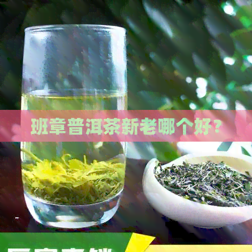 班章普洱茶新老哪个好？