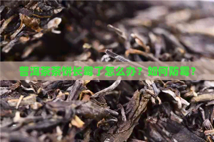 普洱茶茶饼长霉了怎么办？如何防霉？