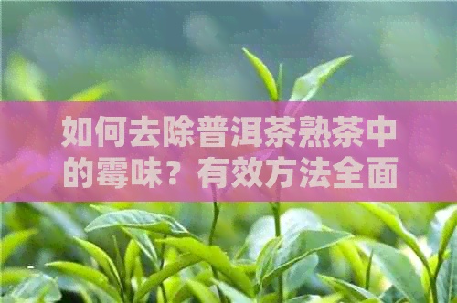 如何去除普洱茶熟茶中的霉味？有效方法全面解析