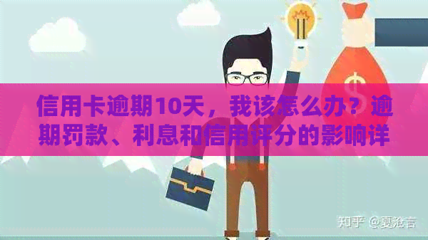 信用卡逾期10天，我该怎么办？逾期罚款、利息和信用评分的影响详细解析