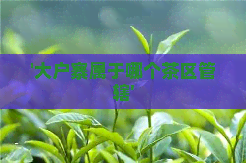 '大户寨属于哪个茶区管辖'