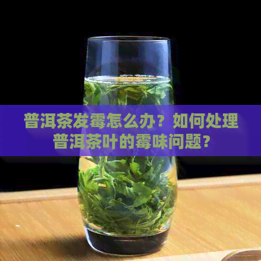 普洱茶发霉怎么办？如何处理普洱茶叶的霉味问题？