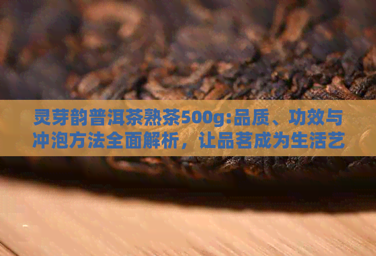 灵芽韵普洱茶熟茶500g:品质、功效与冲泡方法全面解析，让品茗成为生活艺术