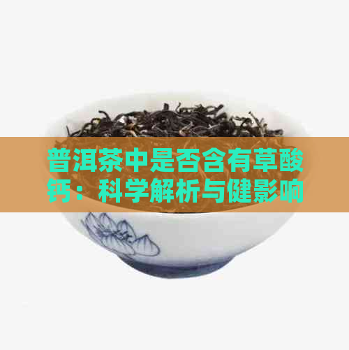 普洱茶中是否含有草酸钙：科学解析与健影响