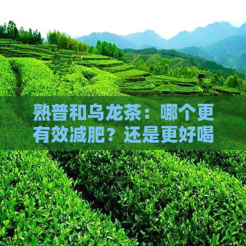 熟普和乌龙茶：哪个更有效减肥？还是更好喝？