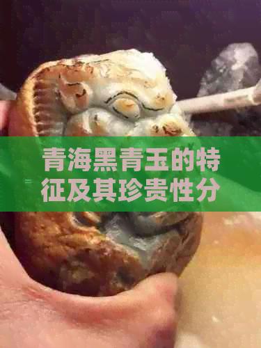 青海黑青玉的特征及其珍贵性分析