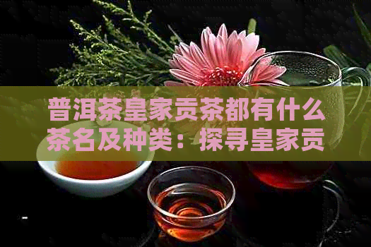 普洱茶皇家贡茶都有什么茶名及种类：探寻皇家贡品普洱茶的秘密