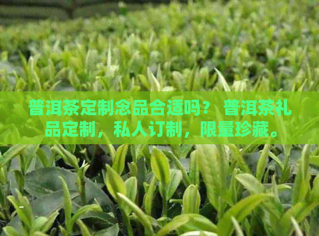 普洱茶定制念品合适吗？ 普洱茶礼品定制，私人订制，限量珍藏。