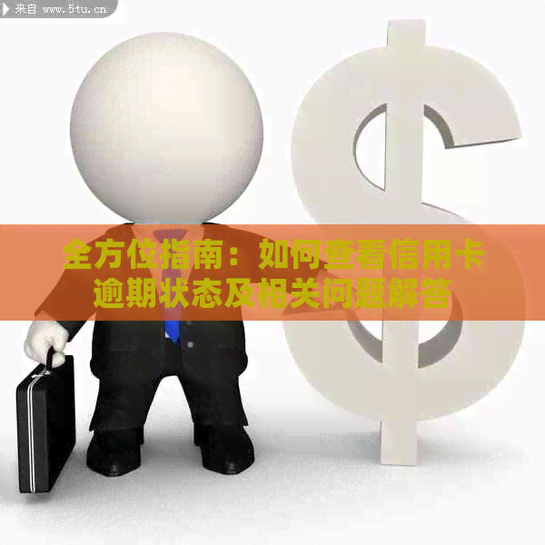 全方位指南：如何查看信用卡逾期状态及相关问题解答