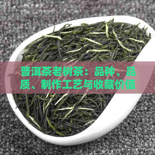 普洱茶老树茶：品种、品质、制作工艺与收藏价值全方位解析