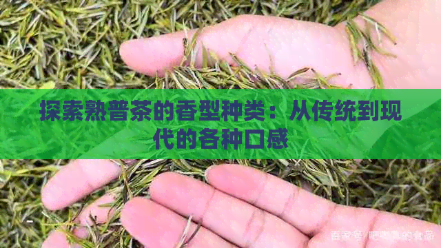 探索熟普茶的香型种类：从传统到现代的各种口感