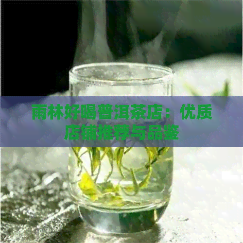 雨林好喝普洱茶店：优质店铺推荐与品鉴