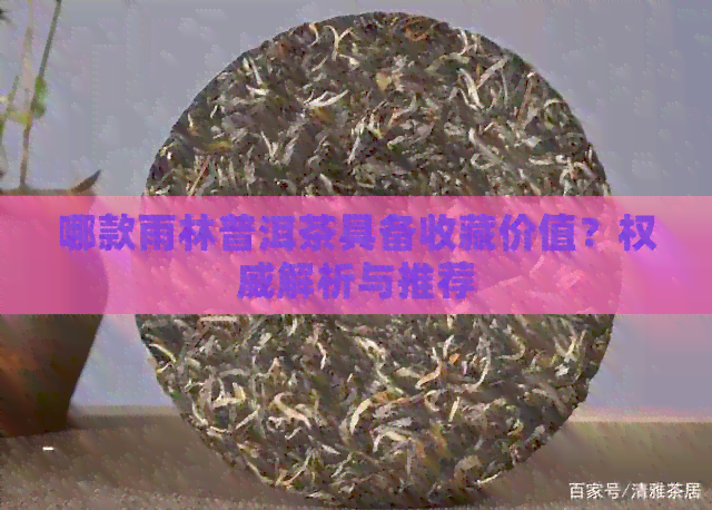 哪款雨林普洱茶具备收藏价值？权威解析与推荐