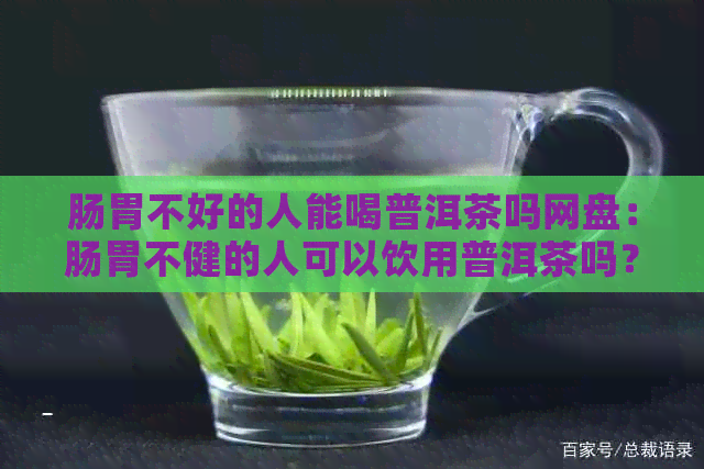 肠胃不好的人能喝普洱茶吗网盘：肠胃不健的人可以饮用普洱茶吗？