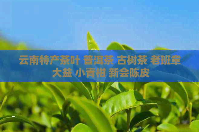 云南特产茶叶 普洱茶 古树茶 老班章 大益 小青柑 新会陈皮